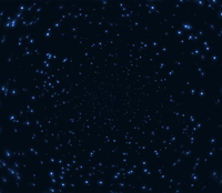 背景星粒子旋转效果源码-造梦空间论坛